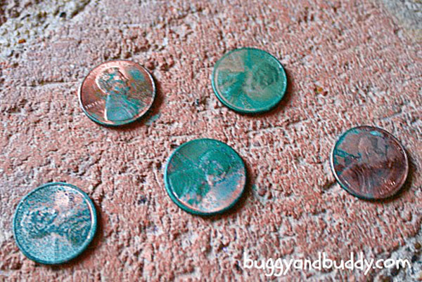Turn a Penny Green