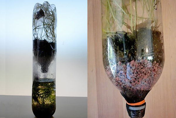 Build an Ecosystem