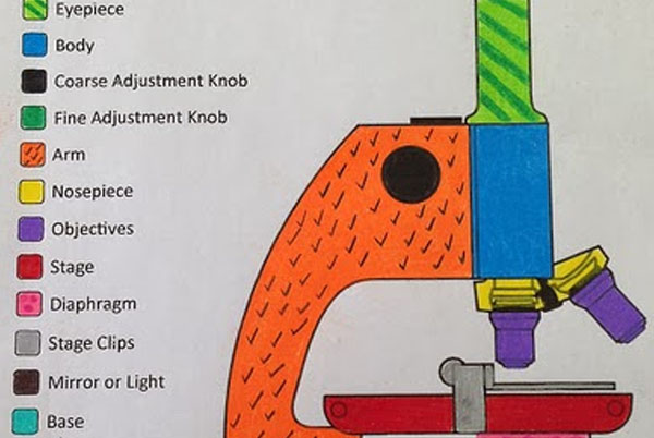 Map a Microscope