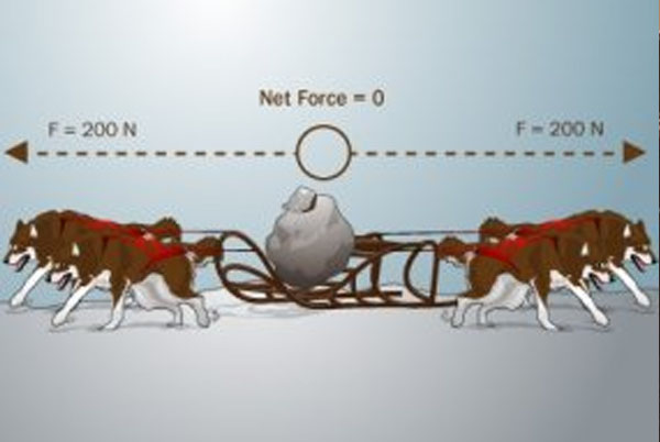 Law of Motion