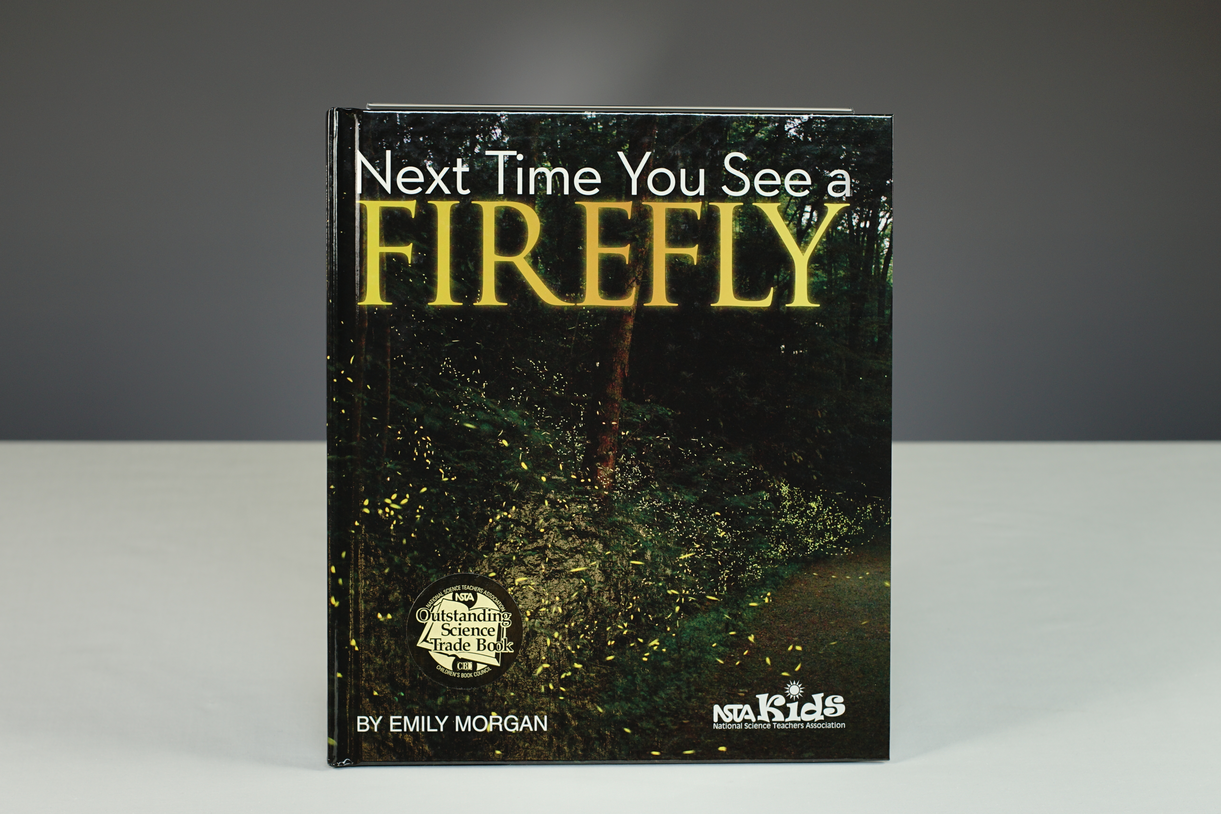 Next Time You See a Firefly Book