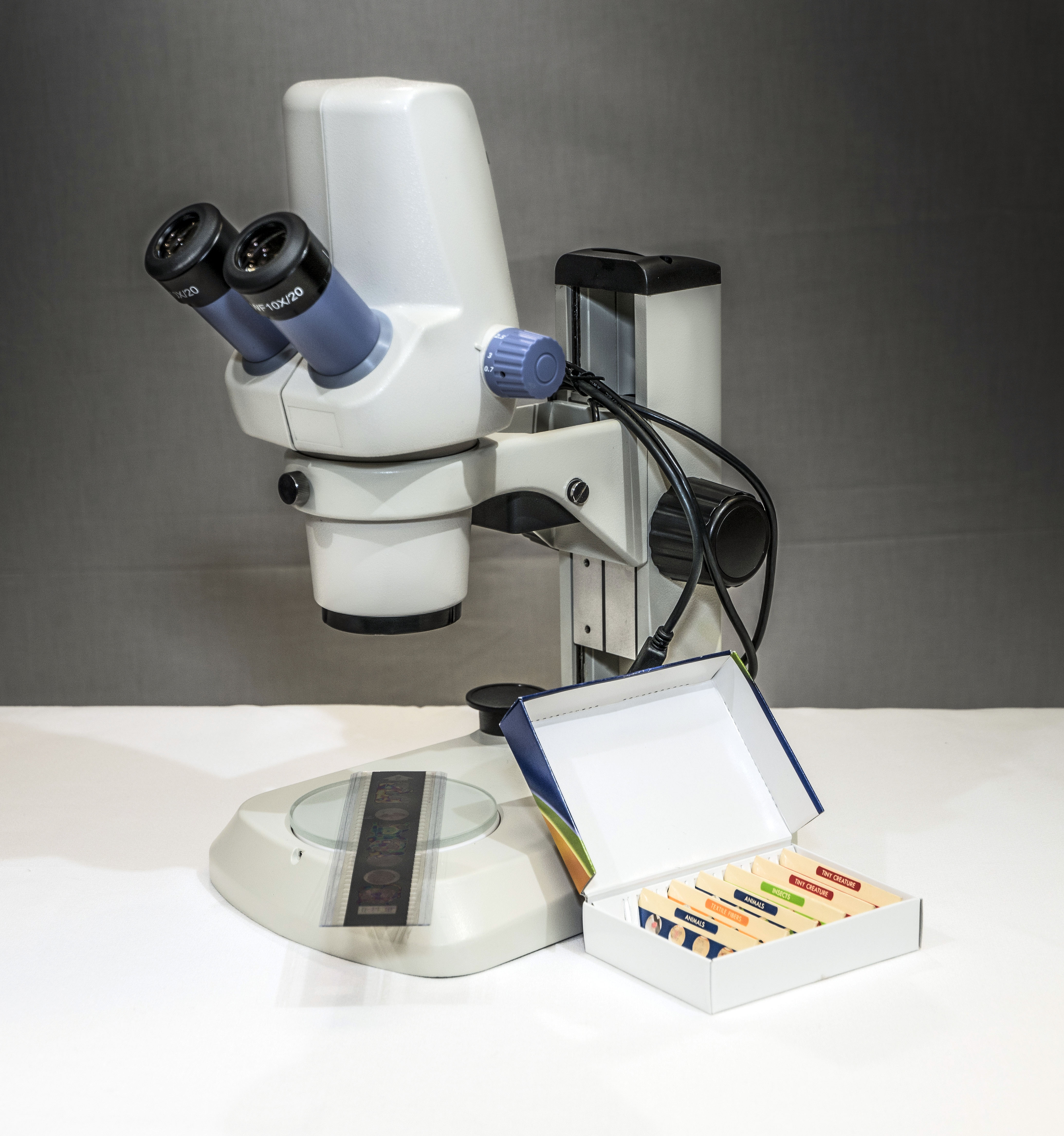 microscope slides