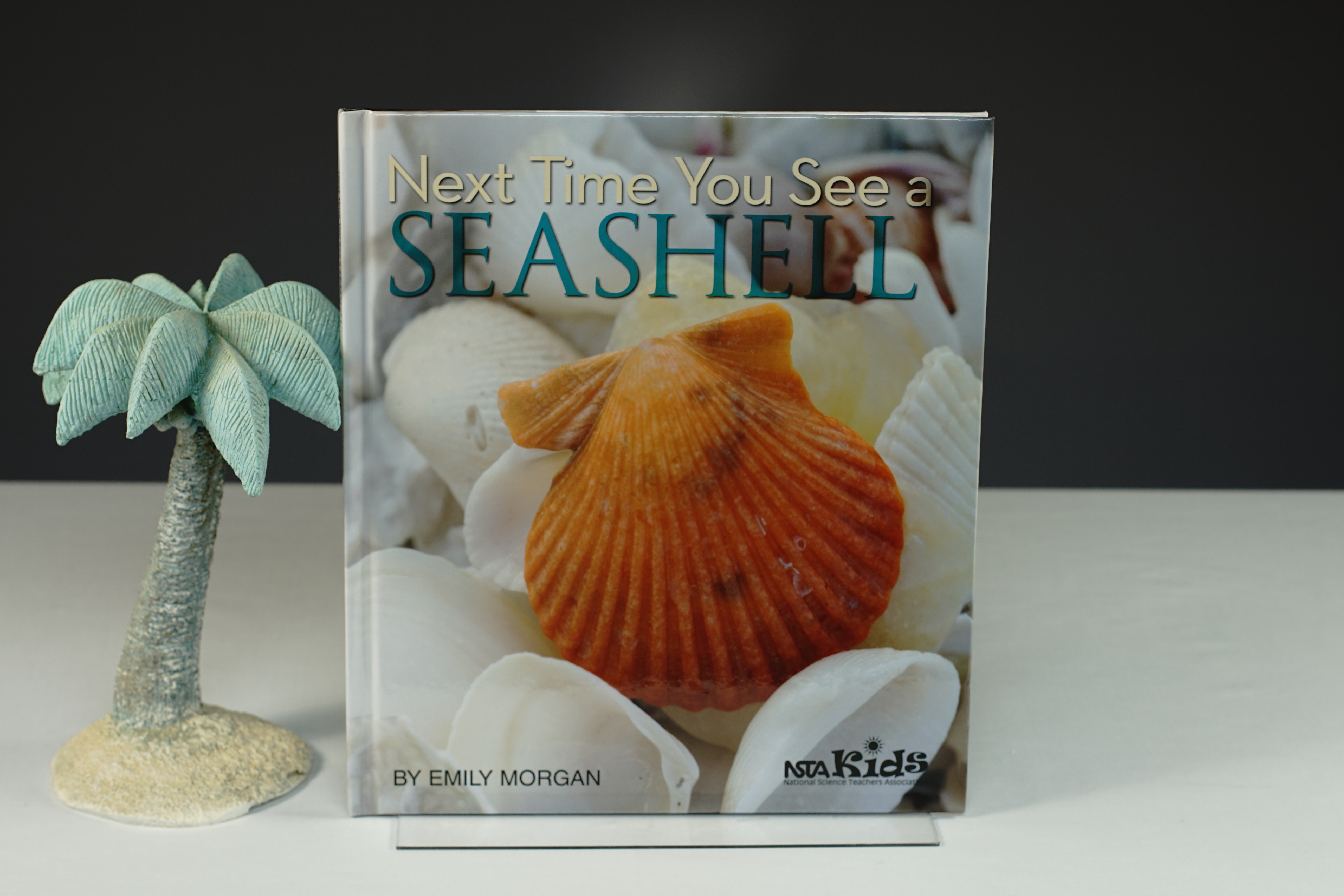 Next Time You See a Seashell Book