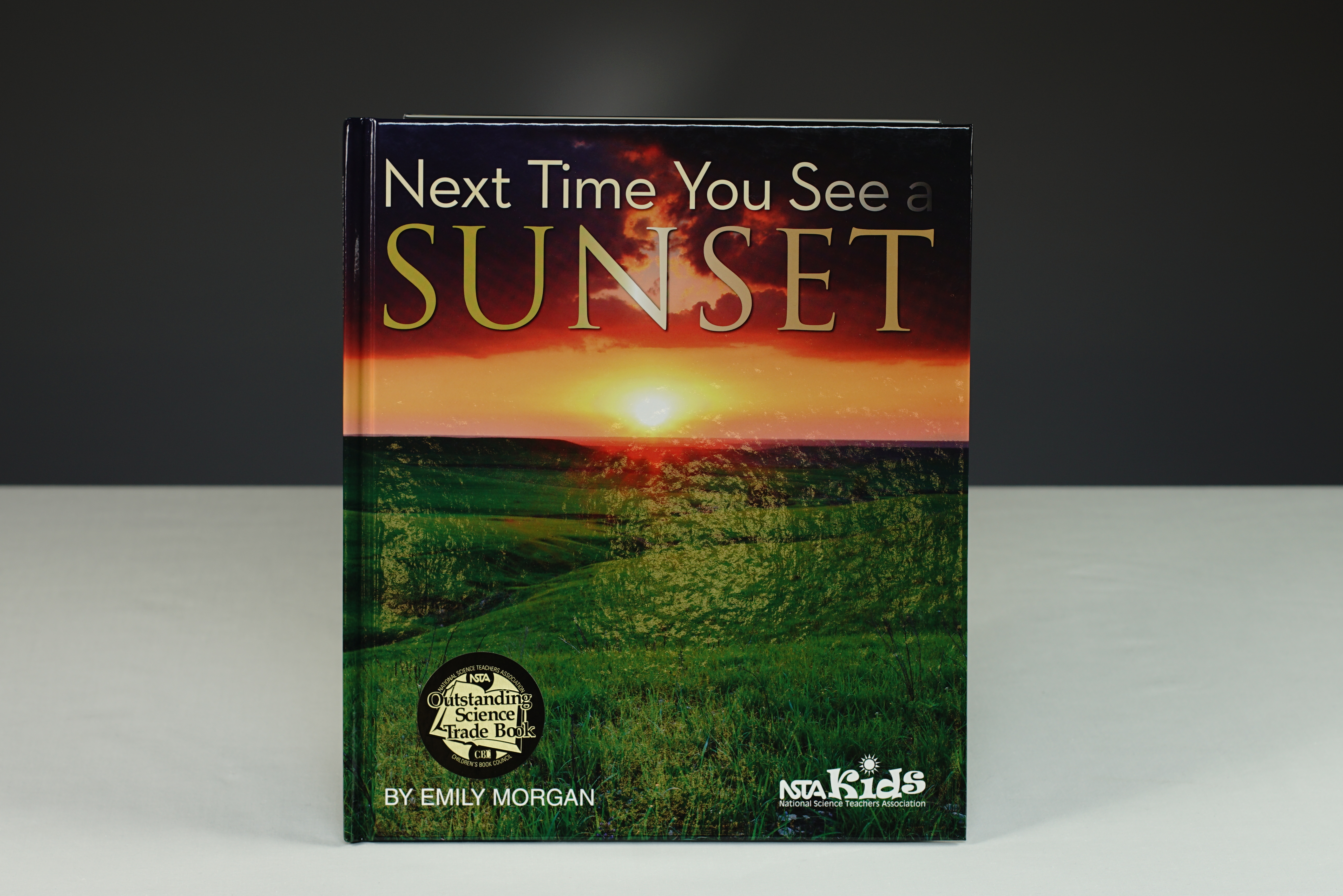 Next Time You See a Sunset Book